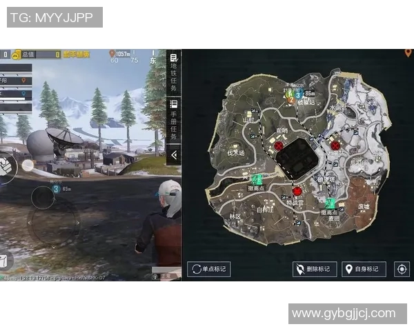 周芳独家揭秘和平精英游戏技巧与心得分享，助你轻松提升游戏水平