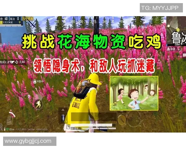 深入探讨和平精英背后的成功秘诀与黄伟的独特见解