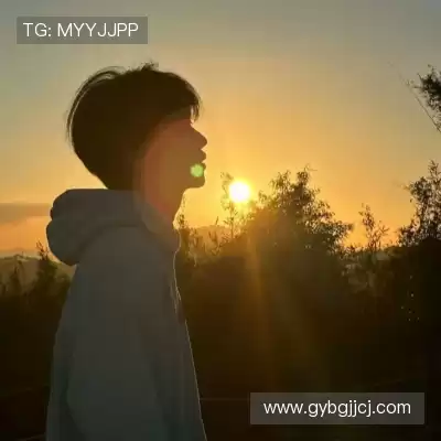 顾彩会