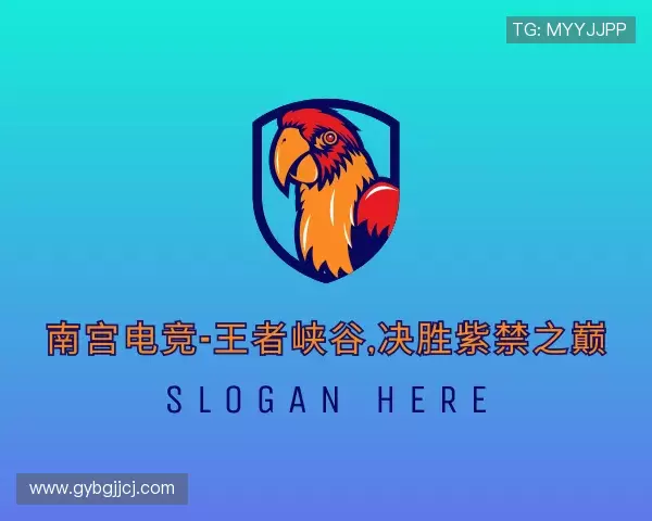 发现南宫电竞